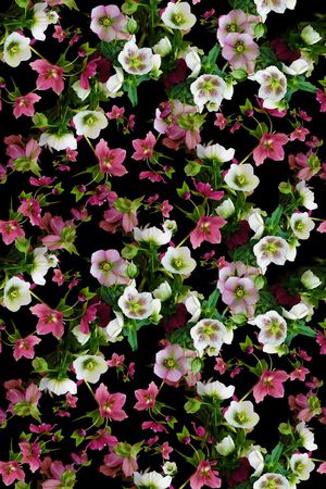 潮流印花华亿平台图片