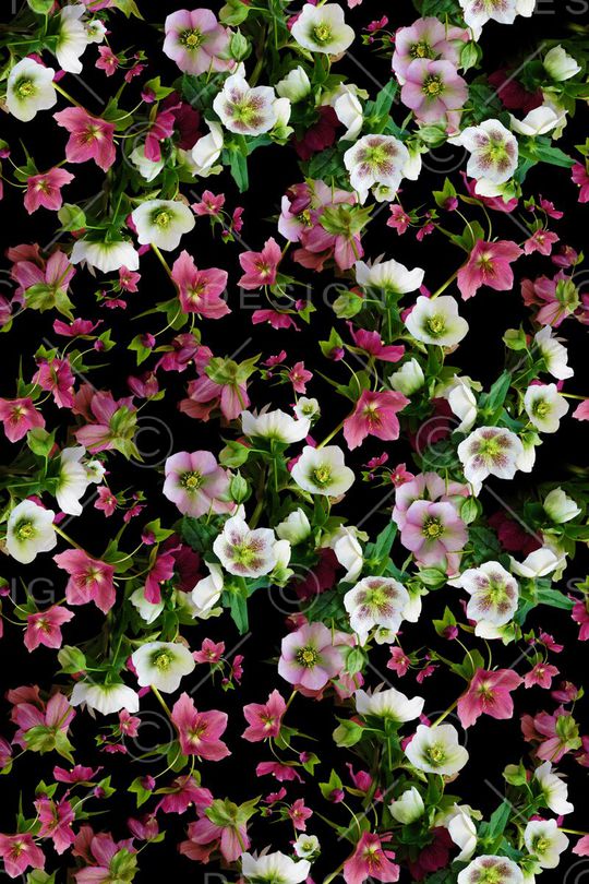 潮流印花华亿平台图片