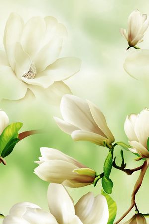 欧美风格印花华亿平台图片