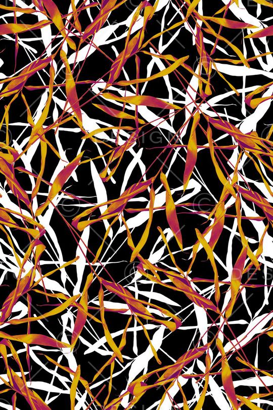 大牌印花华亿平台图片