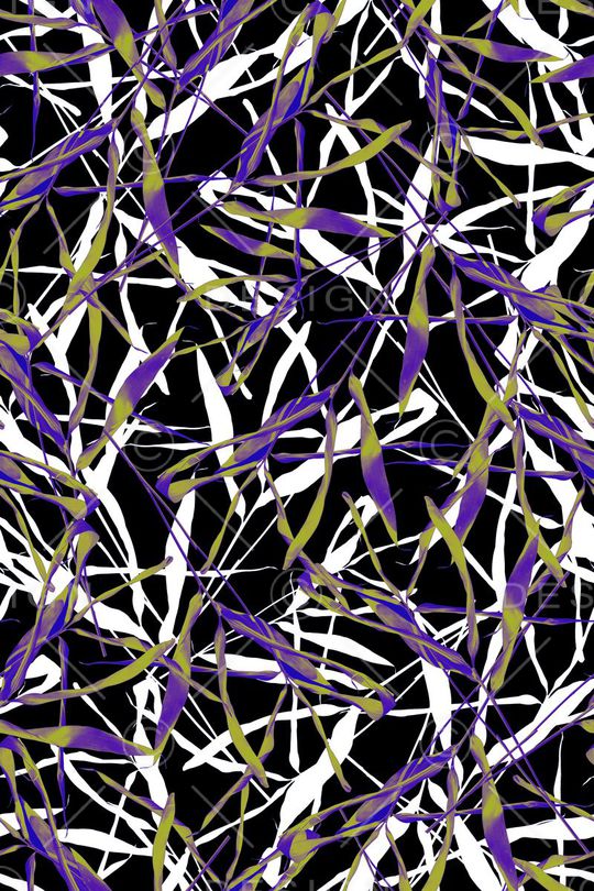 大牌印花华亿平台图片