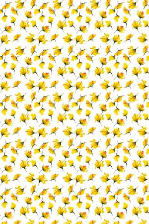 休闲印花华亿平台图片