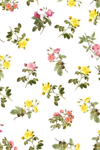 510110-满版数码复古月季蔷薇花花卉设计