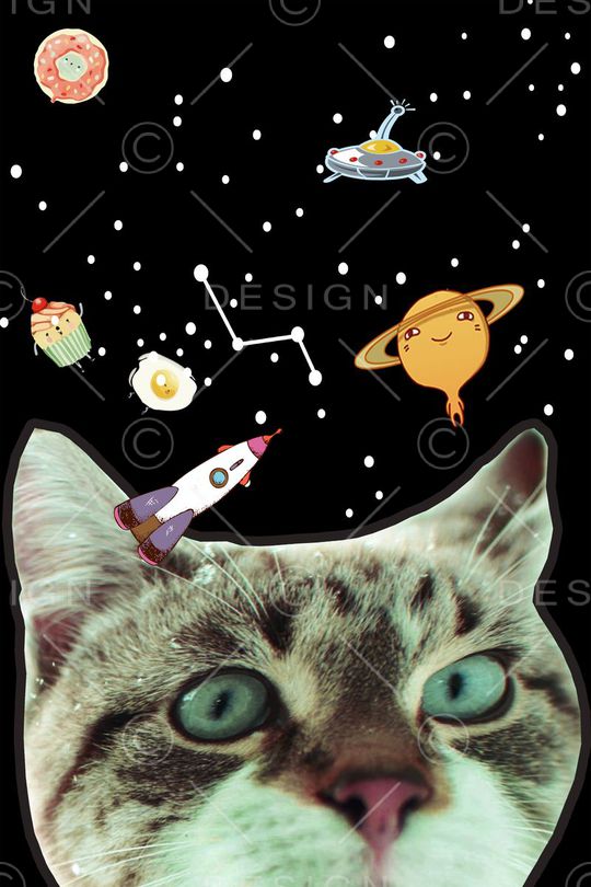 大牌印花华亿平台图片