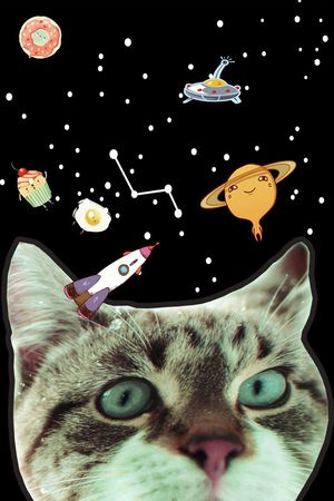 大牌印花华亿平台图片