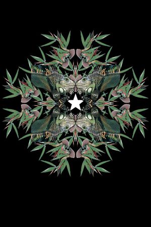 Givenchy印花华亿平台图片