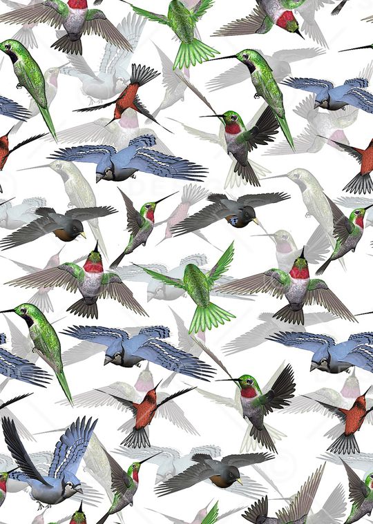 动物印花华亿平台图片