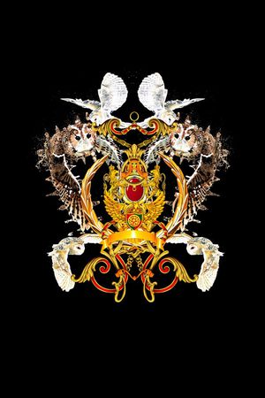 T恤卫衣数码印花印花华亿平台图片