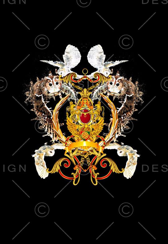 T恤卫衣数码印花印花华亿平台图片