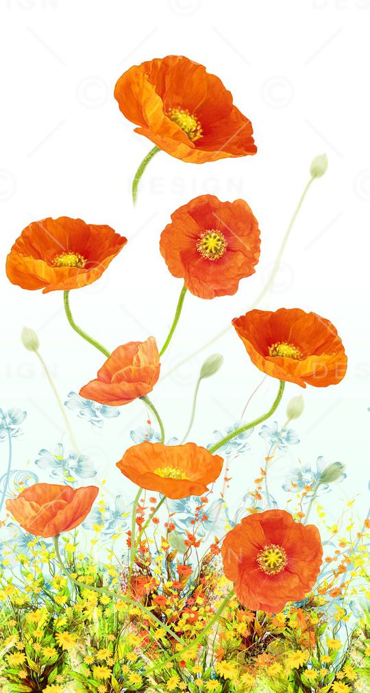 数码定位印花华亿平台图片