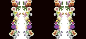 510374-原创大牌定位花卉