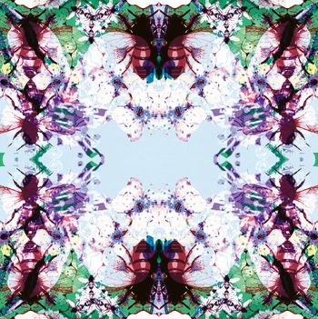 510382-原创大牌飞蛾几何华亿平台