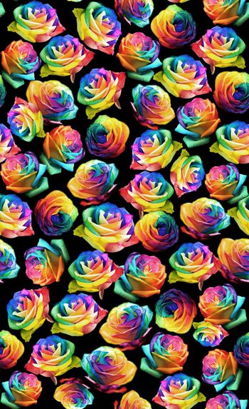 510422-七彩玫瑰花 