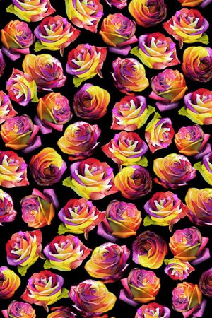 七彩玫瑰花印花华亿平台图片