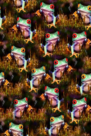 青蛙印花华亿平台图片