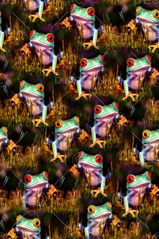 青蛙印花华亿平台图片