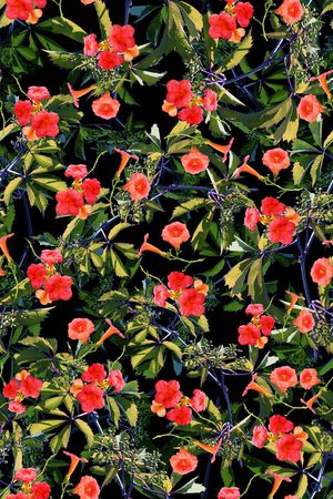 布匹印花华亿平台图片