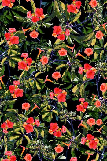 布匹印花华亿平台图片