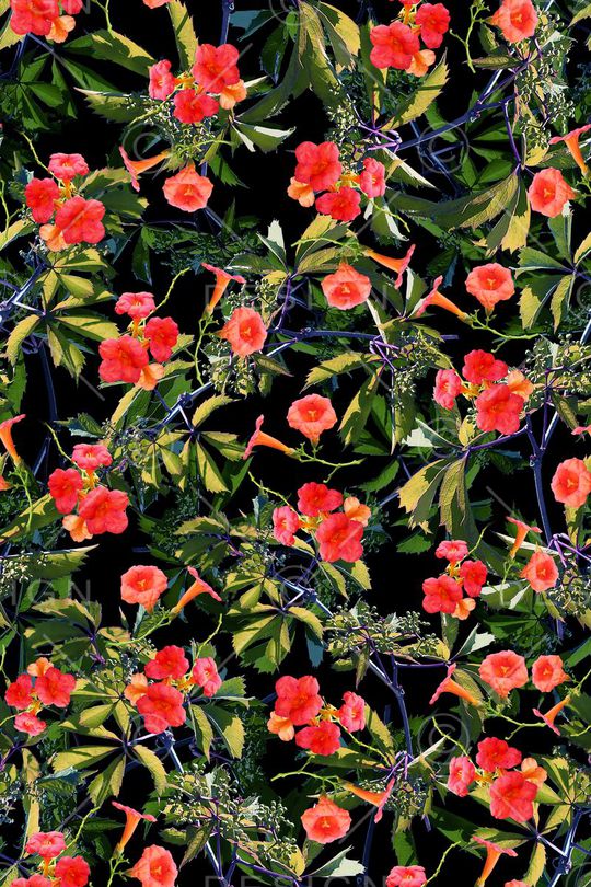 布匹印花华亿平台图片