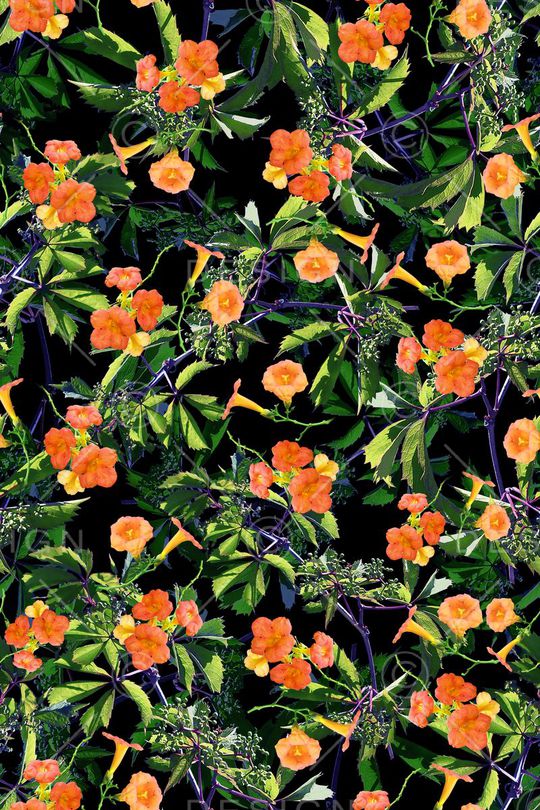 数码印花华亿平台图片