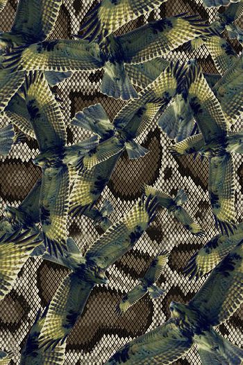 510558-暗色调蛇纹老鹰男装华亿平台