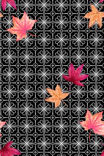 510588-小香风2016春夏时装周黑白方格纹