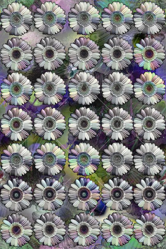 男女衬衣印花华亿平台图片