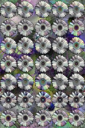 男女衬衣印花华亿平台图片