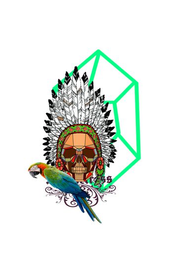 510654-金刚鹦鹉土著人民族画