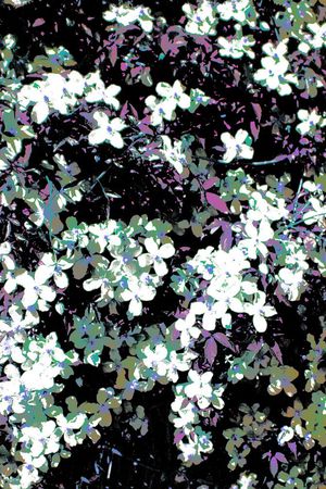 版画印花华亿平台图片