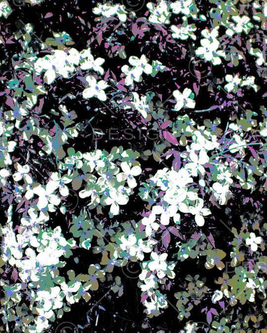 版画印花华亿平台图片