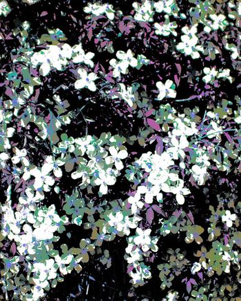 510755-笔触版画艺术效果花卉女装成衣男装衬