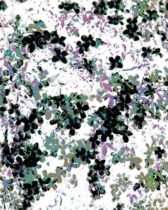 版画印花华亿平台图片