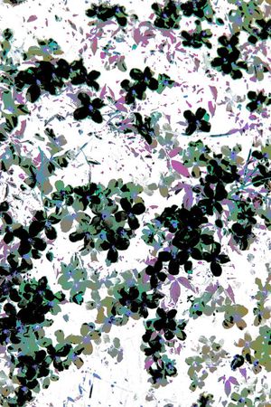 版画印花华亿平台图片