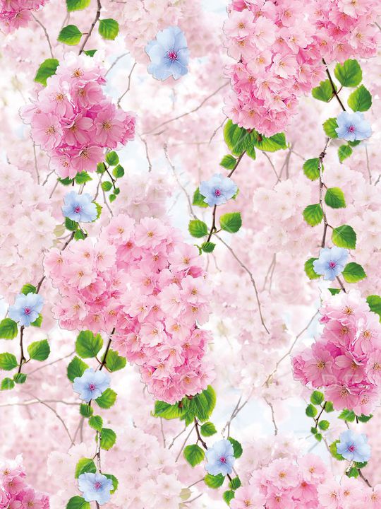 1色印花华亿平台图片