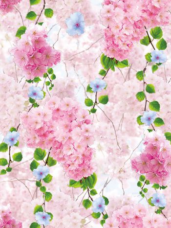 1色印花华亿平台图片