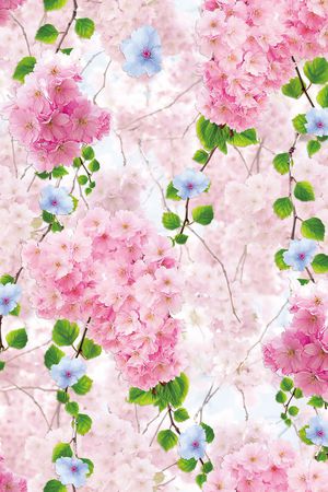 1色印花华亿平台图片