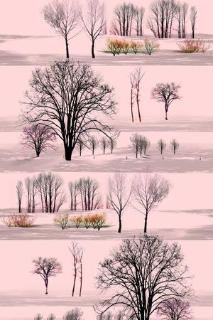 枯树印花华亿平台图片