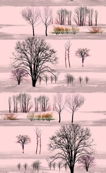 510978-最新枯树造型组合 