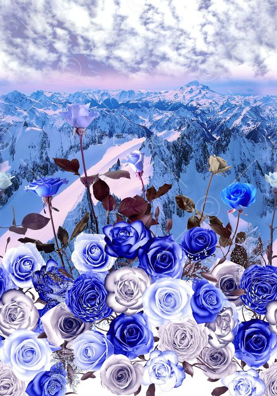 定位印花华亿平台图片