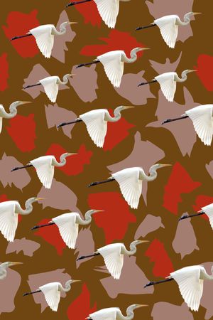 休闲印花华亿平台图片