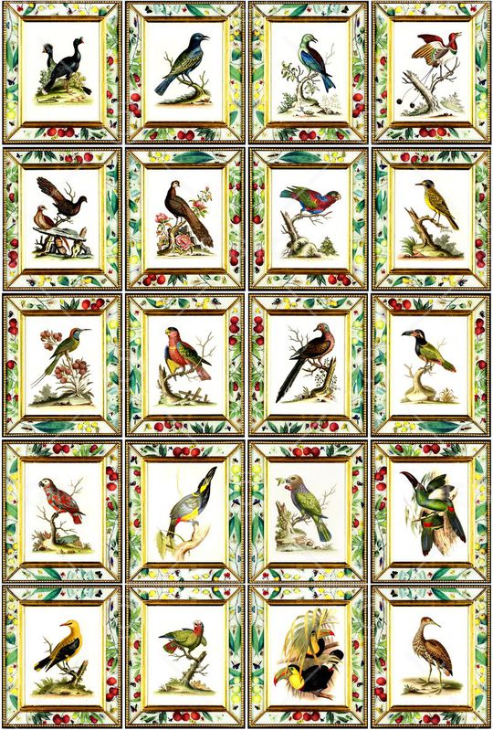 欧式印花华亿平台图片