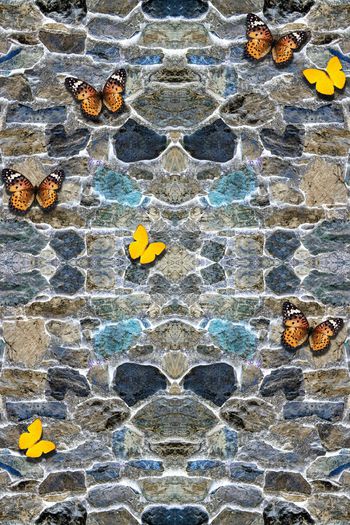 511199-原创蝴蝶-斑斓的岩石纹