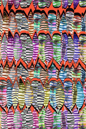 511277-五彩羽毛 条纹组合