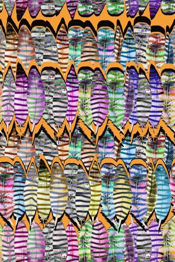 511281-五彩羽毛 条纹组合