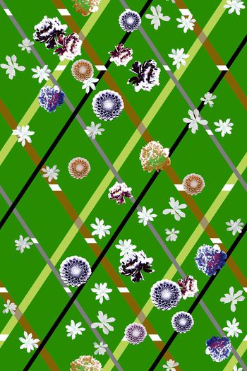 511325-时尚大牌格纹浪漫花卉华亿平台女装图案—