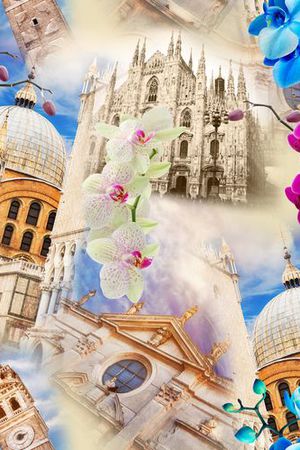 欧美印花华亿平台图片