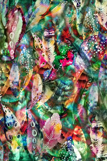 511344-五彩羽毛 肌理组合