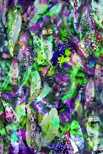 511345-五彩羽毛 肌理组合