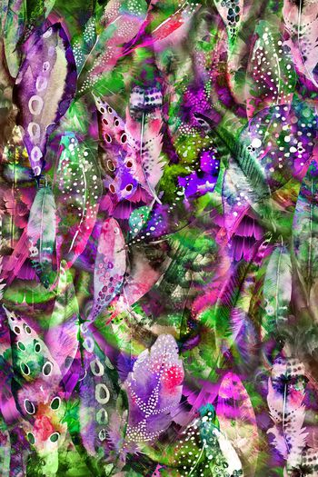 511346-五彩羽毛 肌理组合